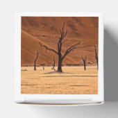 Dead Vlei, Namibia Bedankdoosjes (Bovenkant)