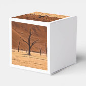 Dead Vlei, Namibia Bedankdoosjes (Achterkant)