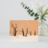 Dead Vlei, Namibia Briefkaart (Staand voorkant)