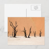 Dead Vlei, Namibia Briefkaart (Voorkant / Achterkant)