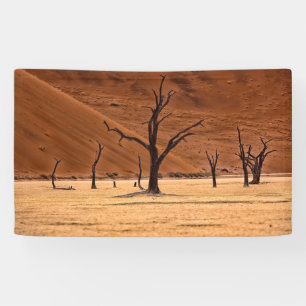 Dead Vlei, Namibia Spandoek