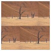 Dead Vlei, Namibia Stof (Close Up)