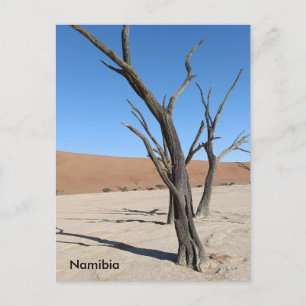 Dead Vlei, Namibië Briefkaart