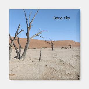 Dead Vlei, Namibie Magnet