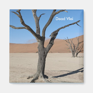 Dead Vlei, Namibie Magnet