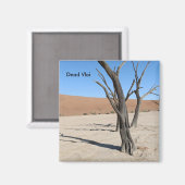 Dead Vlei, Namibie Magnet (Recto/Verso)