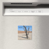 Dead Vlei, Namibie Magnet (In Situ (Lave-vaisselle))