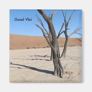 Dead Vlei, Namibische magneet