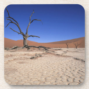 Dead Vlei, Sossusvlei, Namib-Naukluft National Bier Onderzetter
