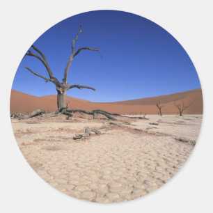 Dead Vlei, Sossusvlei, Namib-Naukluft National Ronde Sticker