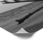 Dead Wood Poster (Hoek)