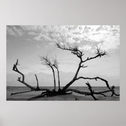 Dead Wood Poster (Voorkant)