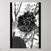 deadly poster (Voorkant)