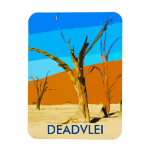 Deadvlei Namibie Travel Vintage Art Magnet