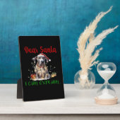 Dear Santa I Can Explain Great Dane Essential T-Sh Fotoplaat (Zijkant)