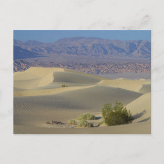 Death Valley Briefkaart
