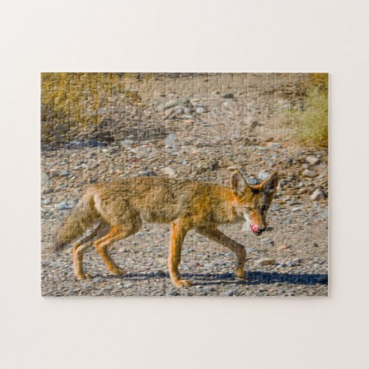 Death Valley Desert Fox. Legpuzzel (Horizontaal)