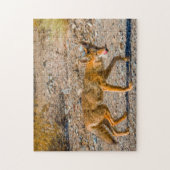 Death Valley Desert Fox. Legpuzzel (Verticaal)