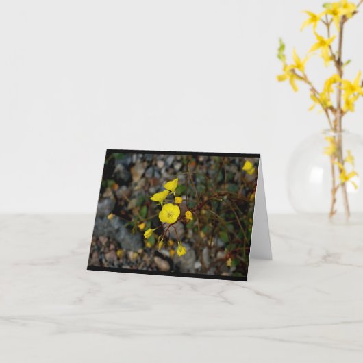 Death Valley fleurit la carte de note (Fleur jaune)