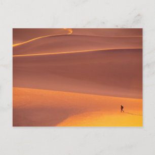 Death Valley National Park Californië Briefkaart