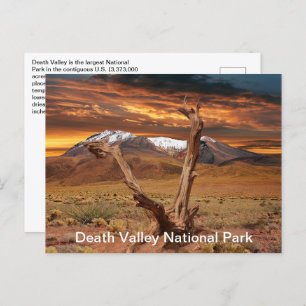 Death Valley National Park Feiten Briefkaart