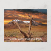 Death Valley National Park Feiten Briefkaart (Voorkant)