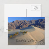 Death Valley Sand Dunes Briefkaart (Voorkant / Achterkant)