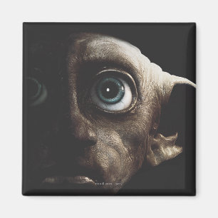 Deathly Hallows - Dobby Magneet