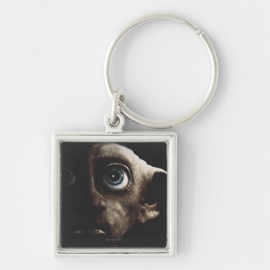 Deathly Hallows - Dobby Sleutelhanger (Voorkant)