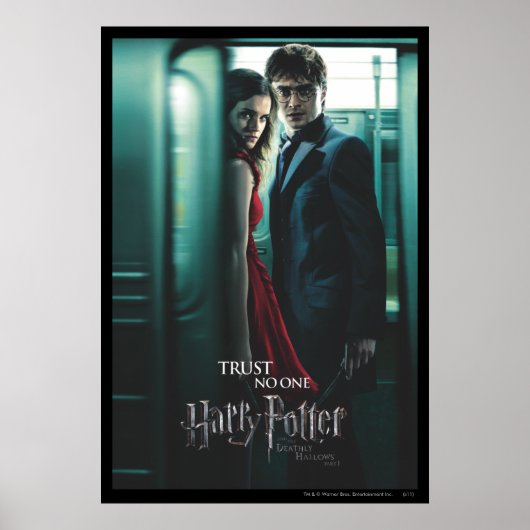Deathly Hallows - Harry en Hermione Poster (Voorkant)