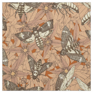 Death's-head hawkmoth roest stof