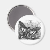 Deathshead Hawk Moth Magneet (Voorkant / Achterkant)