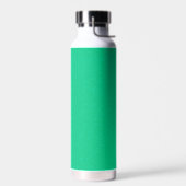 D'eau Bouteille d'acier inoxydable écaillée vert Aqua (Gauche)