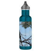 D'eau Bouteille de cailles (Droite)