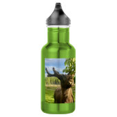 D'eau Bouteille d'élan, bouteille de mousse (Droite)