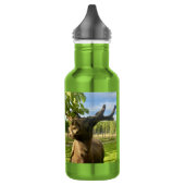 D'eau Bouteille d'élan, bouteille de mousse (Gauche)