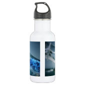 D'eau En Acier Inoxydable Bateau dans une bouteille (Dos)