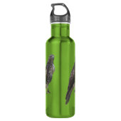 D'eau En Acier Inoxydable Bouteille - Faucon pèlerin (Dos)