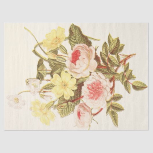  debetpapier voor de tuin tissuepapier (Voorkant)