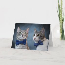 Debonair Katten in Bowties Aankondiging