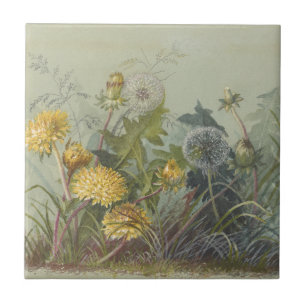 Deborah Griscom Passmore Waterverf Album Pl.60 Tegeltje