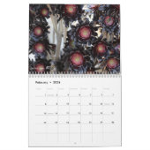 Debra Lee Baldwin's Succulent Photos 2015 Calendar Kalender (Feb 2026)