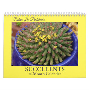 Debra Lee Baldwin's Succulents-2 12 maanden Kalender