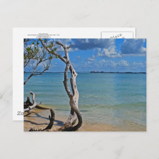 Debris tot Blind pas Briefkaart (Voorkant / Achterkant)