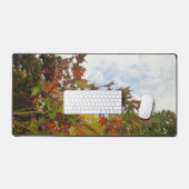 Début de l'automne (Clavier et souris)