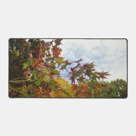 Début de l'automne (Recto)