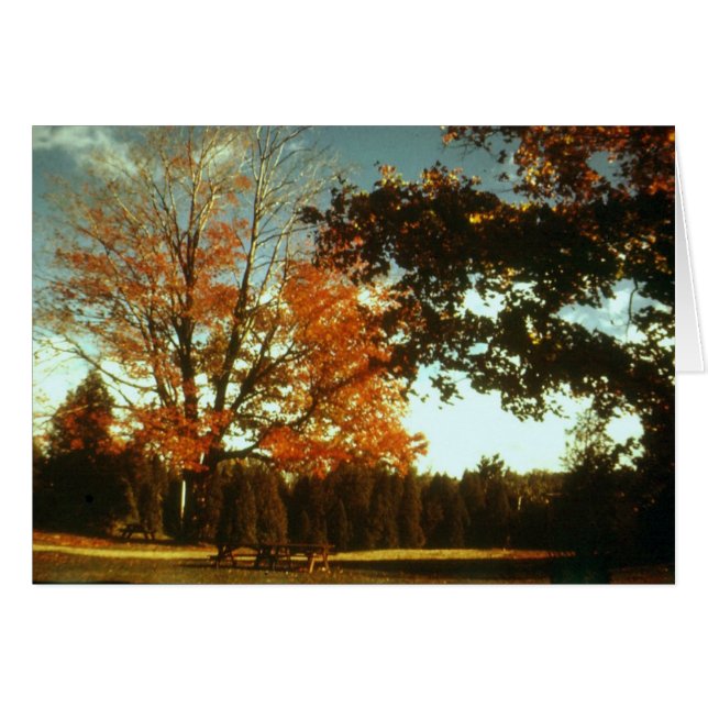 Début de l'automne (Devant horizontal)