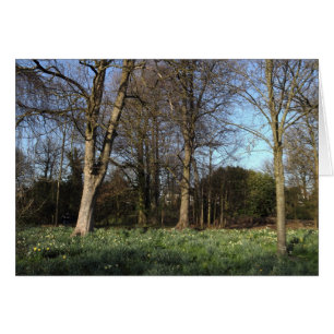 Début du printemps à, Bute Park, Cardiff