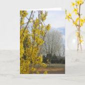 Début du printemps - Carte de voeux (Fleur jaune)