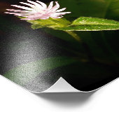 debuut foto afdruk (Hoek)